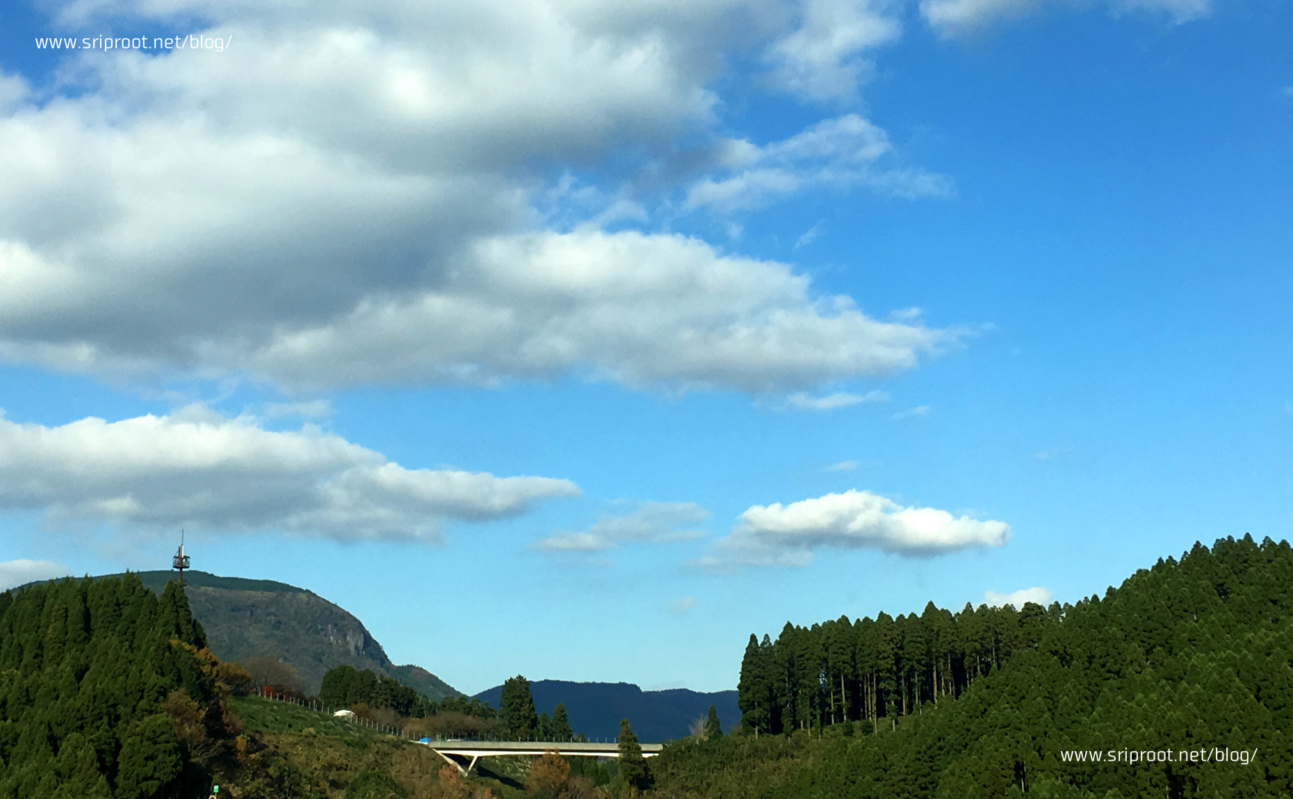 由布院からの帰り道